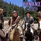bonanza 39
